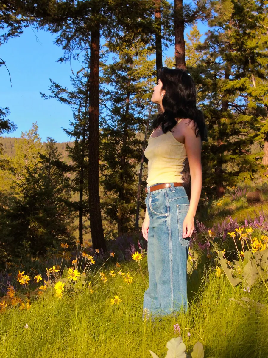 Portrait standing in golden evening light among pines